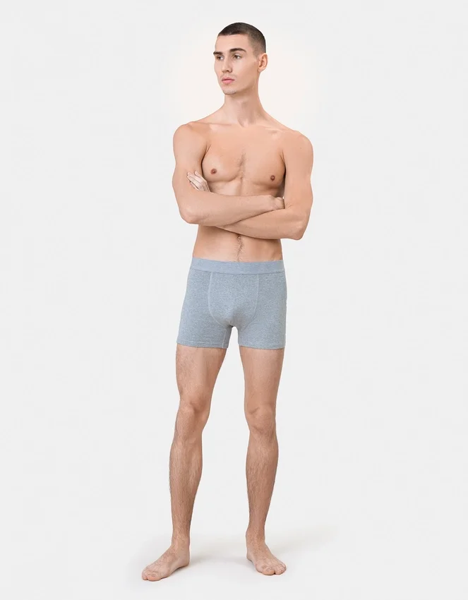 Boxers clásicos de algodón Organic - Gris jaspeado