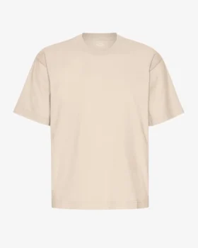 Camiseta orgánica oversize - Gris ostra