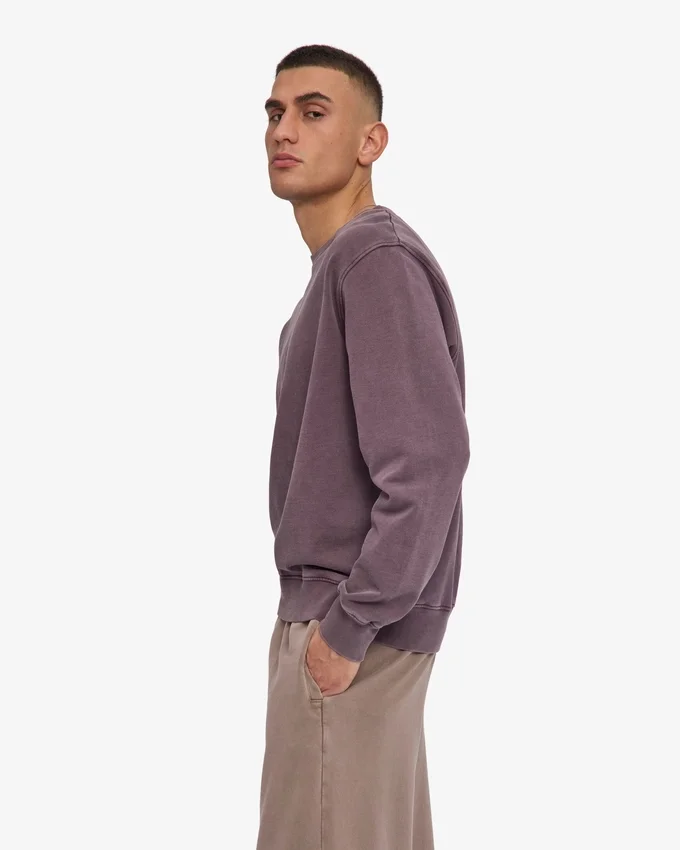 Classic Organic Jersey de cuello redondo - Uva descolorida