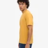 Classic Organic Tee - Amarillo quemado