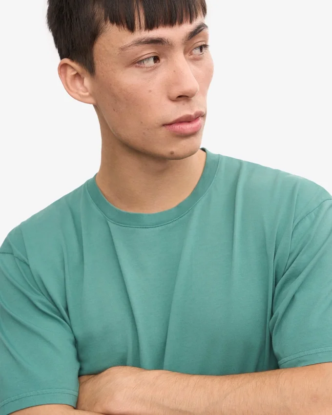 Classic Organic Tee - Verde pino