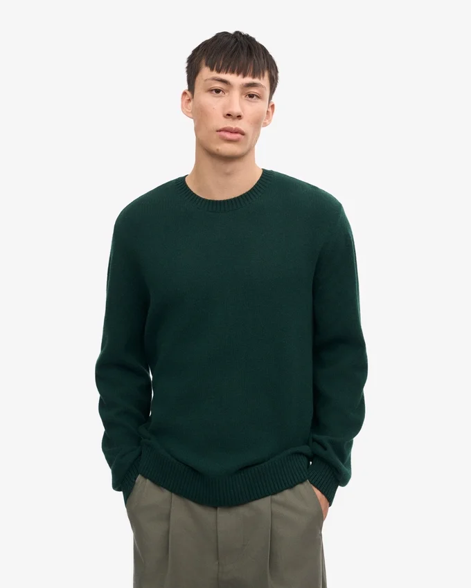 Jersey clásico de cuello redondo de lana merina - Verde esmeralda