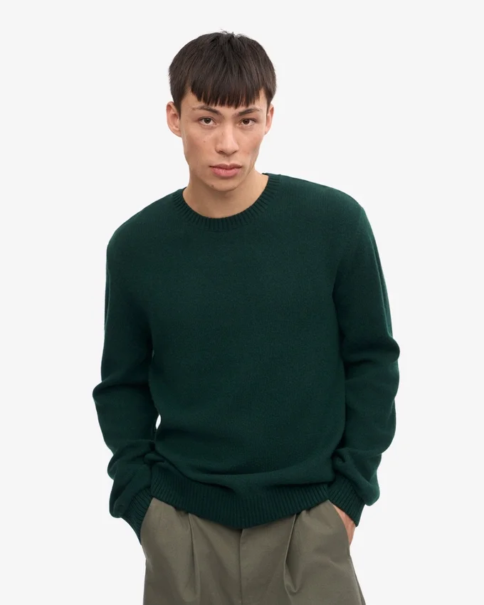 Jersey clásico de cuello redondo de lana merina - Verde esmeralda