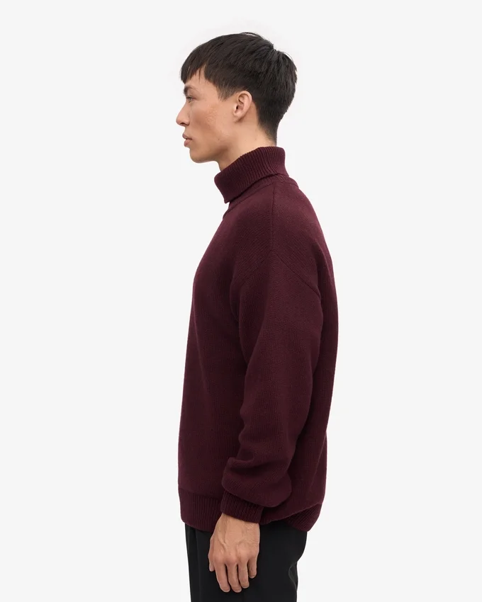 Jersey de cuello alto de lana merina - Rojo sangre de buey