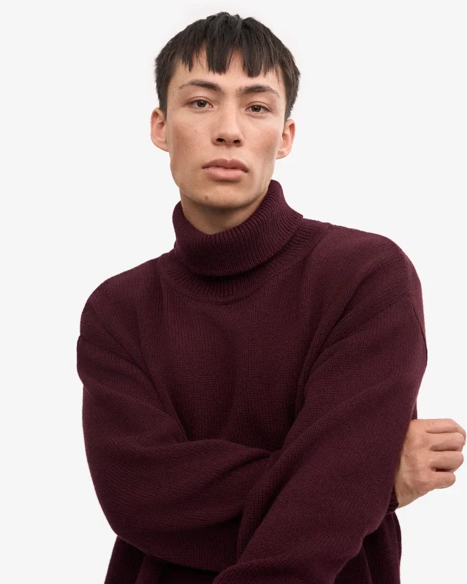 Jersey de cuello alto de lana merina - Rojo sangre de buey