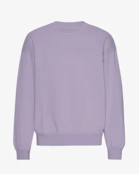 Jersey de cuello redondo oversize de algodón orgánico - Jade púrpura