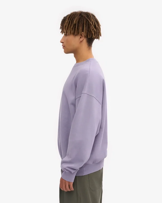 Jersey de cuello redondo oversize de algodón orgánico - Jade púrpura