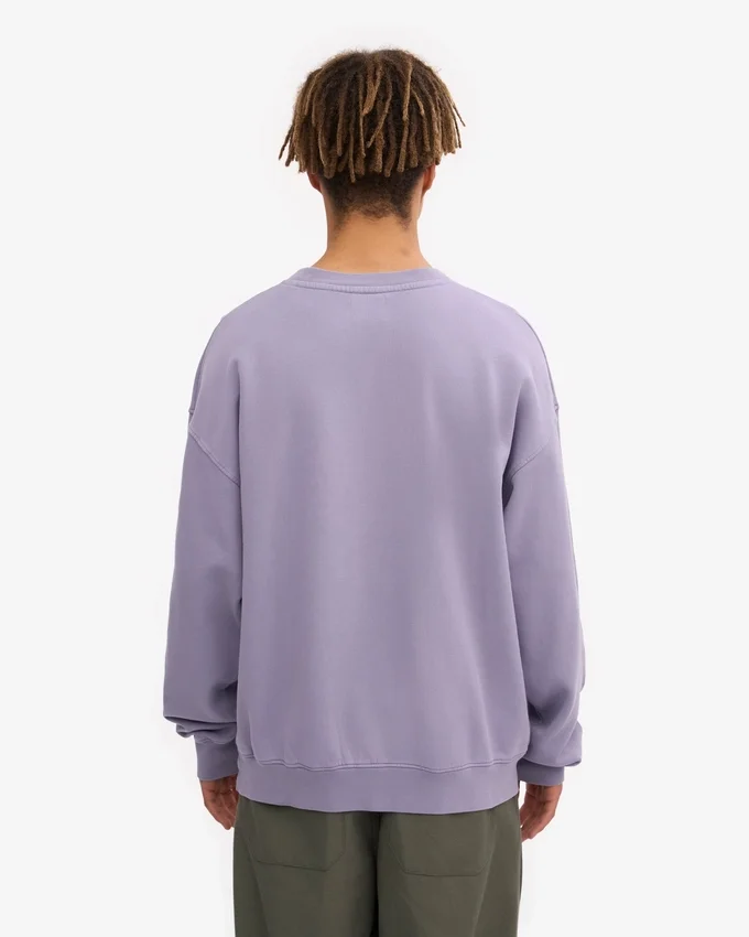 Jersey de cuello redondo oversize de algodón orgánico - Jade púrpura