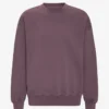 Jersey de cuello redondo oversize de algodón orgánico - Uva descolorida