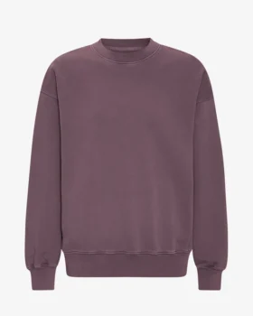 Jersey de cuello redondo oversize de algodón orgánico - Uva descolorida
