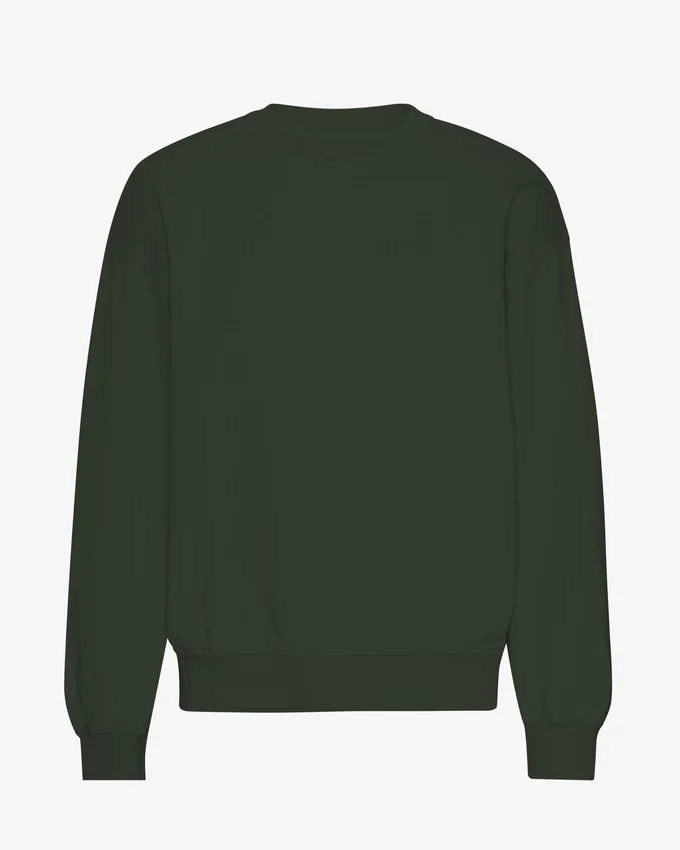 Jersey de cuello redondo oversize de algodón orgánico - Verde cazador