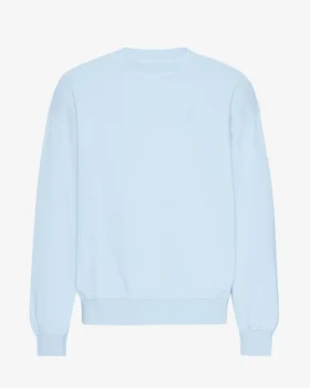 Jersey de cuello redondo oversize orgánico - Azul polar