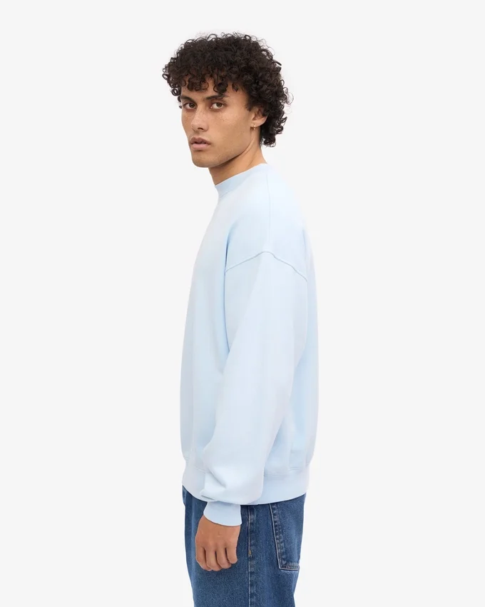 Jersey de cuello redondo oversize orgánico - Azul polar