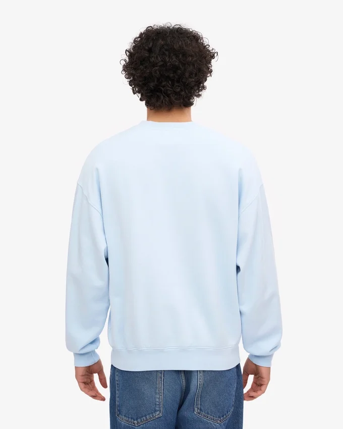 Jersey de cuello redondo oversize orgánico - Azul polar