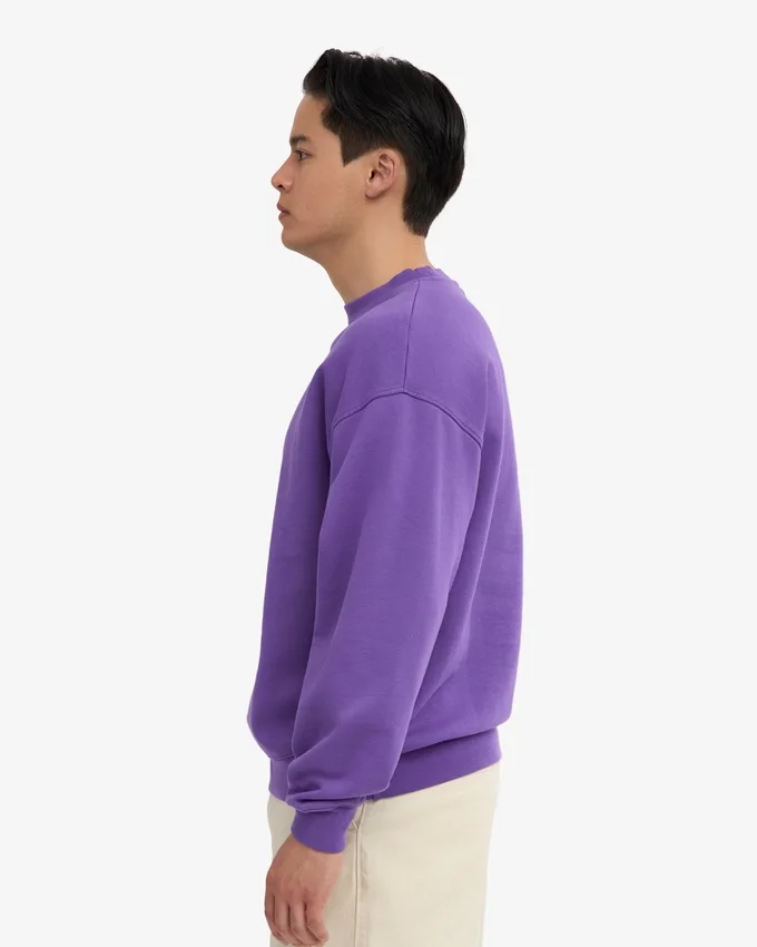 Jersey de cuello redondo oversize orgánico - Ultravioleta