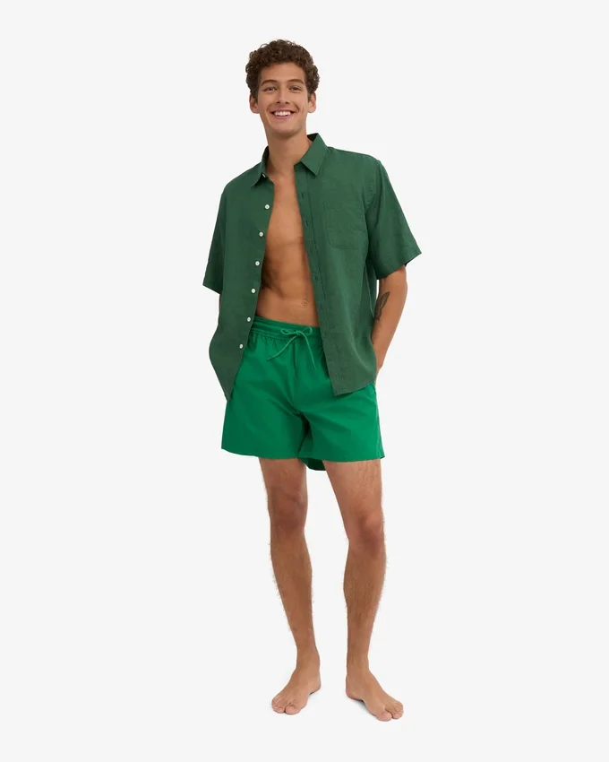 Pantalones cortos clásicos - Verde Kelly