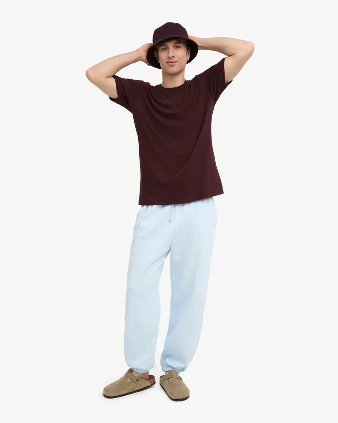 Pantalones de chándal holgados de algodón orgánico - Azul polar