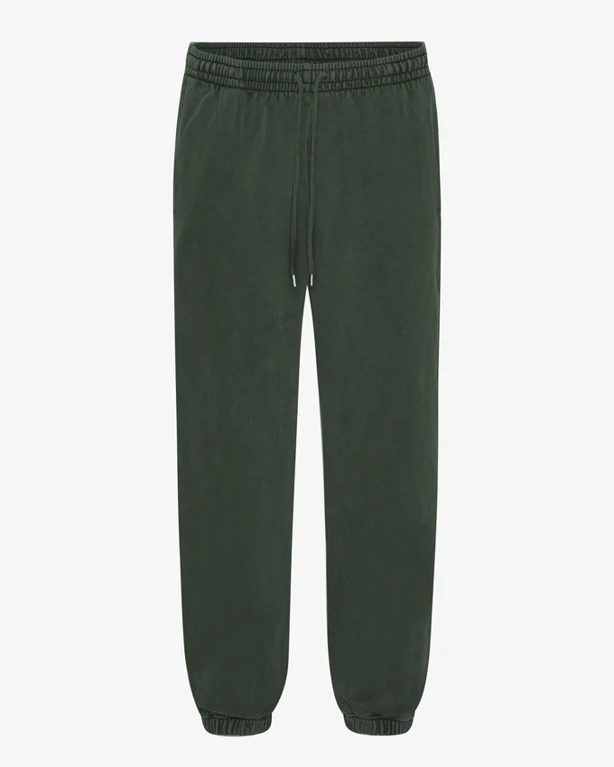 Pantalones de chándal holgados de algodón orgánico - Bosque de medianoche