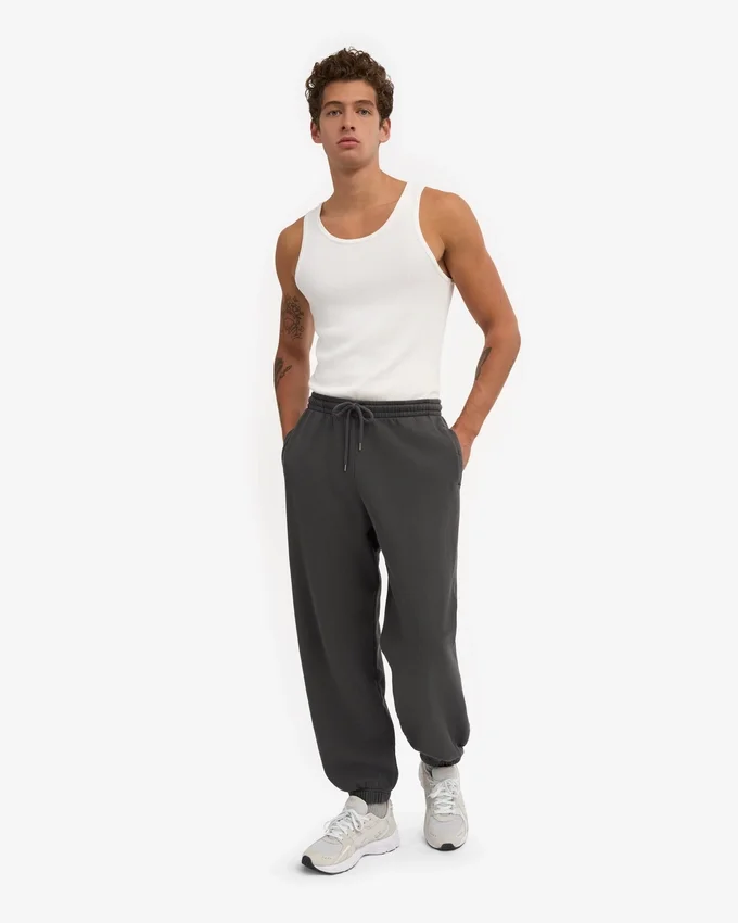 Pantalones de chándal holgados de algodón orgánico - Gris lava
