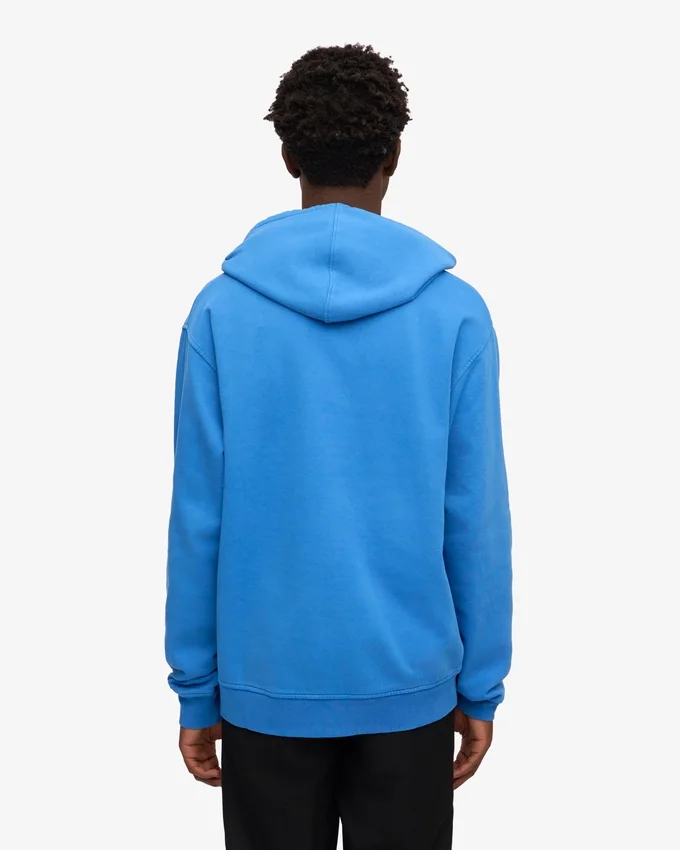 Sudadera con capucha Classic Organic de algodón orgánico - Azul Pacífico