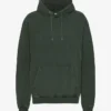 Sudadera con capucha Classic Organic de algodón orgánico - Bosque de medianoche