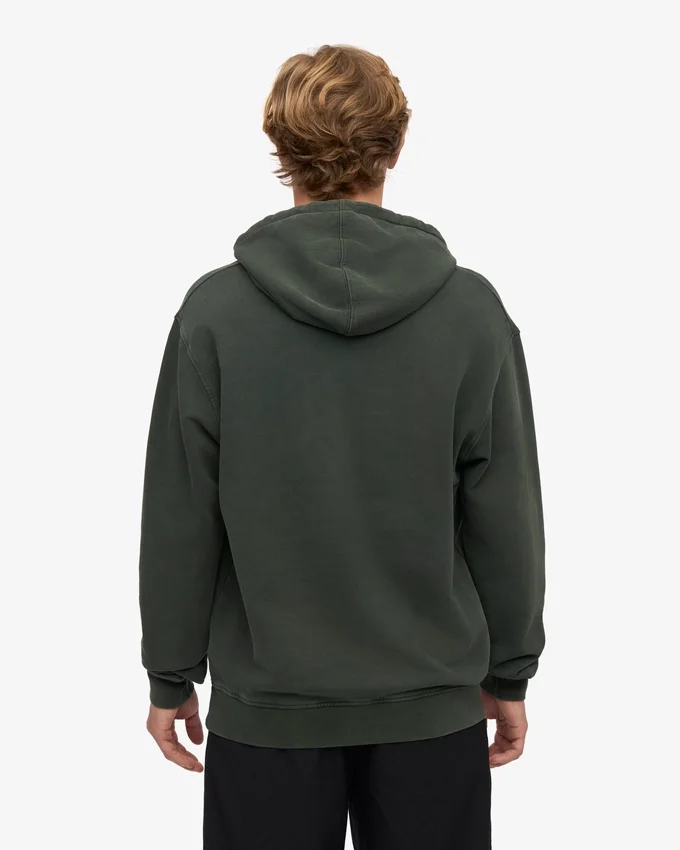 Sudadera con capucha Classic Organic de algodón orgánico - Bosque de medianoche