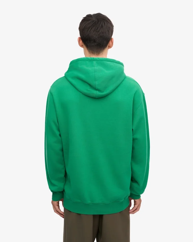 Sudadera con capucha Classic Organic - Verde Kelly