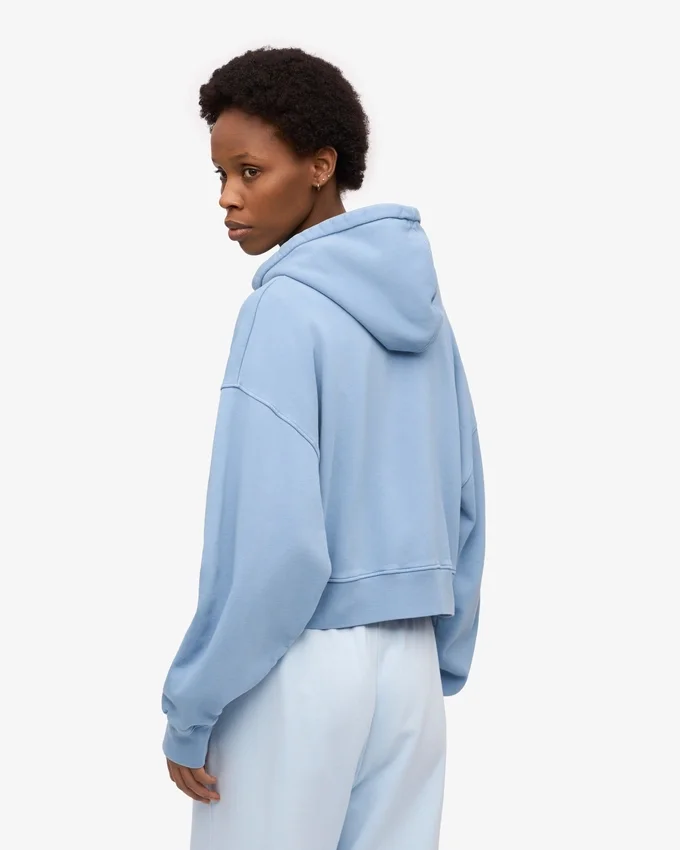 Sudadera con capucha corta y cremallera de algodón orgánico - Azul mar