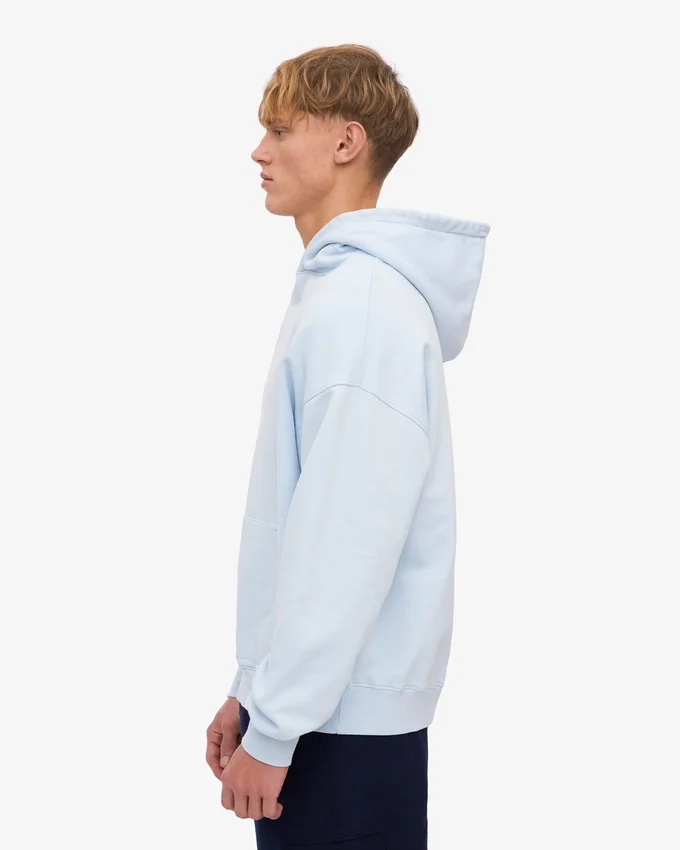 Sudadera con capucha oversize de algodón orgánico - Azul polar