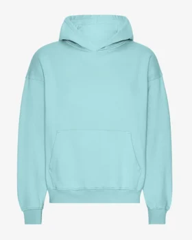Sudadera con capucha oversize de algodón orgánico - Azul verdoso