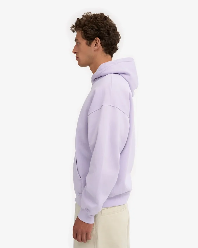 Sudadera con capucha oversize de algodón orgánico con cremallera - Lavanda suave